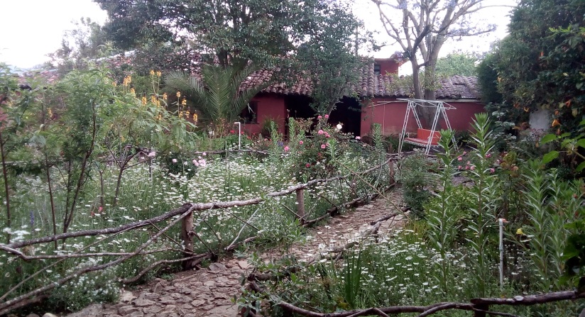 Picture of Casa Corazn de Jade in San Cristobal de las Casas Mexico